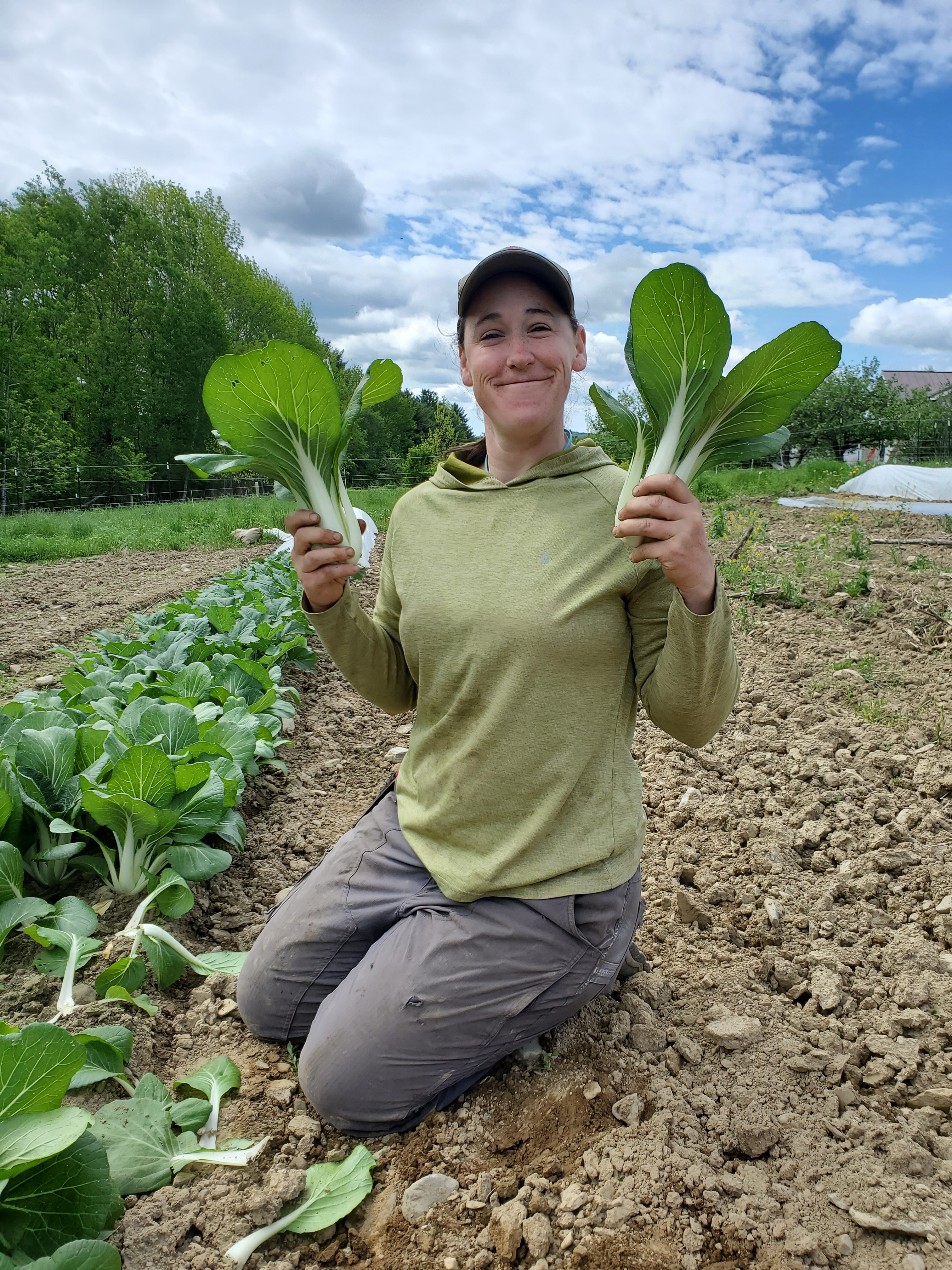 Meet the Farmers – Stubborn Ox Farm